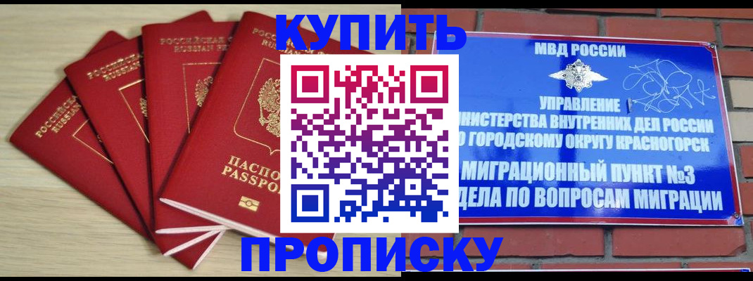 миграционный учет в Мончегорске